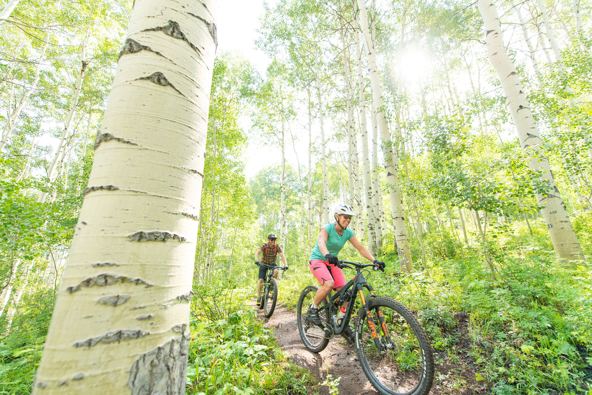 What Is My Ideal Bike? Our Guide to Finding the Right Ride for You ...
